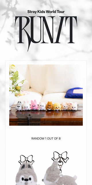 Stray Kids - SKZOO SECRET WIND-UP PLUSH [World Tour RUN IT SEOUL MD] (random)