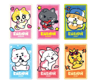[US SHIPPING] ENHYPEN ENCHIN - PHOTOCARD HOLDER [ENCHIN Inside Your Pocket]