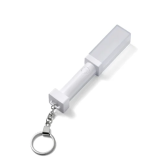 TWS - OFFICIAL LIGHT STICK KEYRING