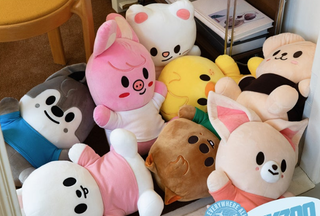 Stray Kids - SKZOO PLUSH HUG ME Ver. [SKZOO EVERYWHERE ALL AROUND THE WORLD IN SEOUL MD]