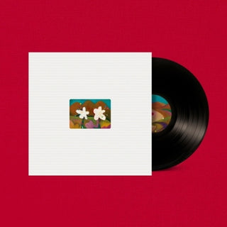 AKMU - The 4th Album FLOWERING LP VINYL