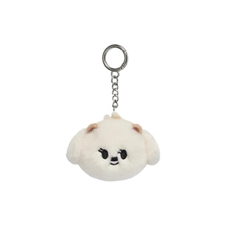 TXT (TOMORROW X TOGETHER) - MINI FACE KEYRING [PPULBATU FINDING MOA MD]
