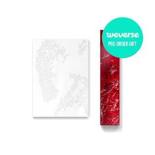 BTS V - V TYPE 非 SET