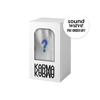 Stray Kids ALBUM SOUNDWAVE / 1Random Stray Kids - The 4th Album KARMA (SKZOO VER.)