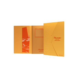 TREASURE ALBUM YELLOW NO POB TREASURE - PLEASURE